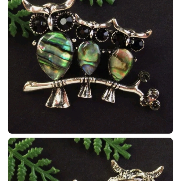 New Abalone Shell Family of Owls Pin Brooch Pendant. - Picture 3 of 3